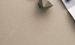 4004_Raw_Concrete_CU_portrait_1-MR