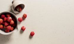 4141_Misty_Carrera_Cu_landscape-LR