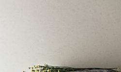 4600_Organic_White_CloseUP_LR