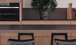 4735_Oxidian_Render_2_CU_764x195px