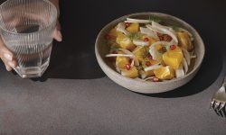 4735_Oxidien_1_Single_1240x640px