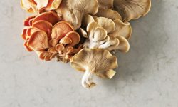 5000_London_Grey_CloseUP_4_LR