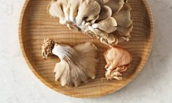 5000_London_Grey_CloseUP_6_LR