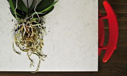 5000_London_Grey_DPS_2_LR