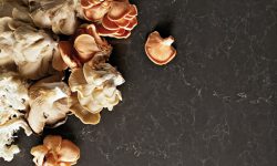 5003_Piatra_Grey_CloseUp_3_LR