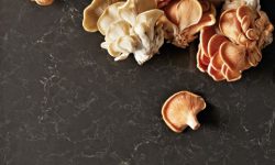 5003_Piatra_Grey_CloseUp_4_LR