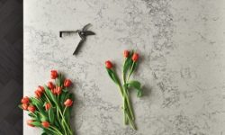 5043_Montblanc_CU_top_portrait