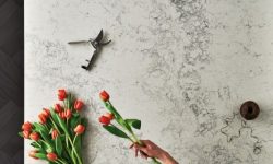 5043_Montblanc_Midrange_single