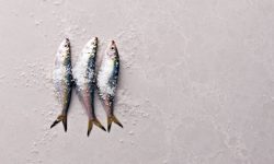 5110_Alpine_Mist_Close_up_2_LR