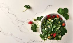 5111_Statuario_Nuvo_cu_portrait_1-LR (מותאם אישית)