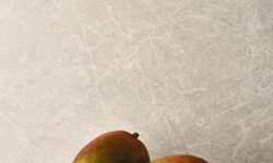 5130_Cosmopolitan_White_CU_portrait -LR