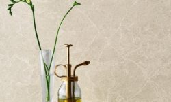 5130_Cosmopolitan_White_CU_portrait_2 -LR