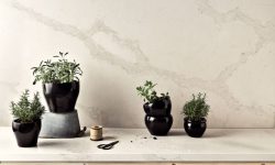 5131_Calacatta_Nuvo_CloseUp_6_HERBS-LR