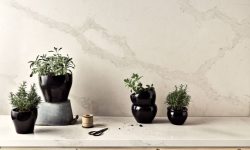 5131_Calacatta_Nuvo_CloseUp_6_HERBS-LR