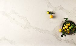 5131_Calacatta_Nuvo_CloseUp_7_lemons-LR