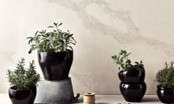 5131_Calacatta_Nuvo_single_1_Herbs -LR