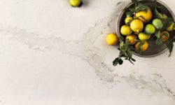 5131_Calacatta_Nuvo_single_1_Lemons-LR