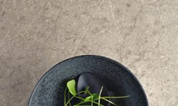 5133_Symphony_Grey_CU_portrait_1 -LR