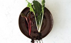 5141_Frosty_Carrina_CloseUP