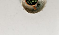 5141_frosty_carrina_olives close up4