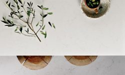 5141_frosty_carrina_olives