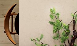 5220_Dreamy_Marfil_Single