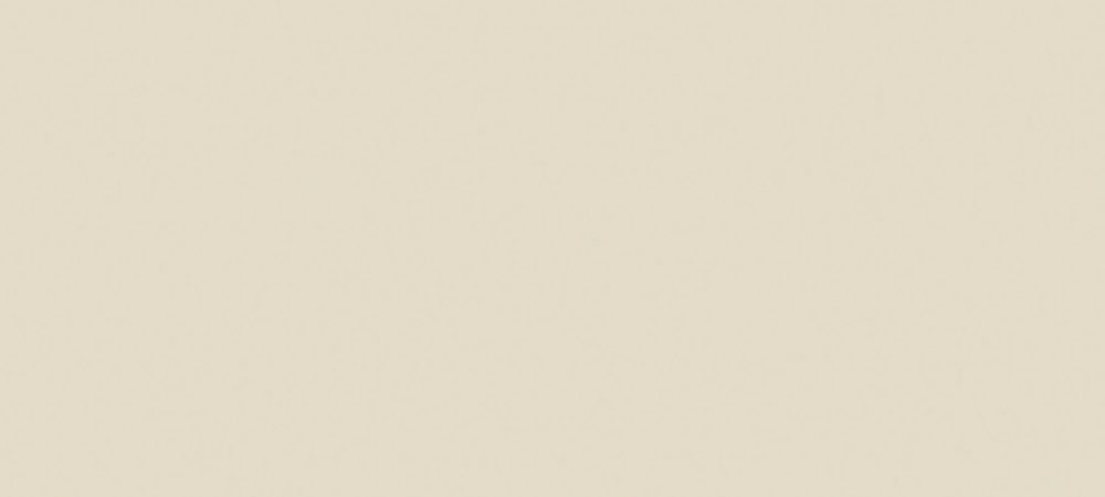 THESIZE SURFACES - NEOLITH