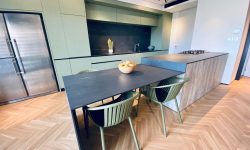 הבית של רוני דואני