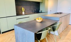 הבית של רוני דואני