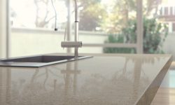 cc-Shitake 4230_crop